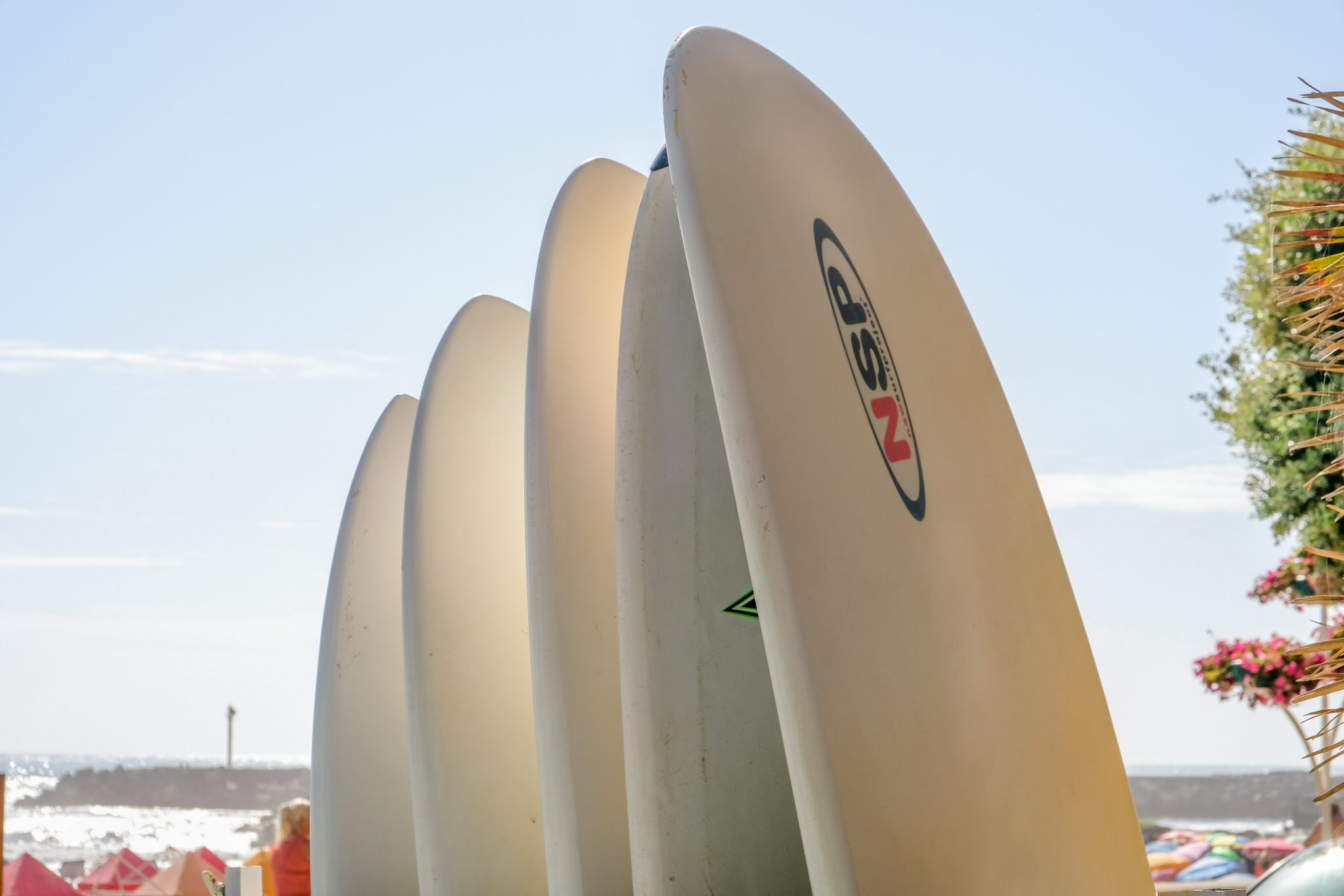 aluguer de pranchas de surf