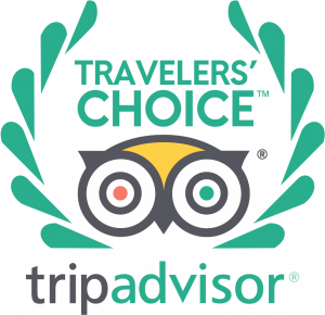 tripadvisor travel choice anchorpoint surfschool